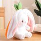 Fruit Bunny Reversible Plushie