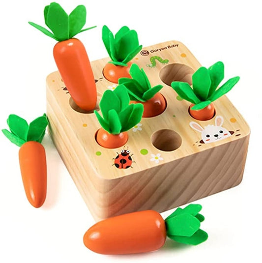 Carrot Set Wooden Shape Matching Puzzle Toy for Kids