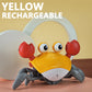 Musical Induction Escape Crab Rechargeable Pet Toys for Children